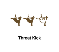Icon 1