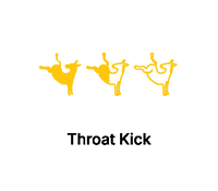 Icon 1