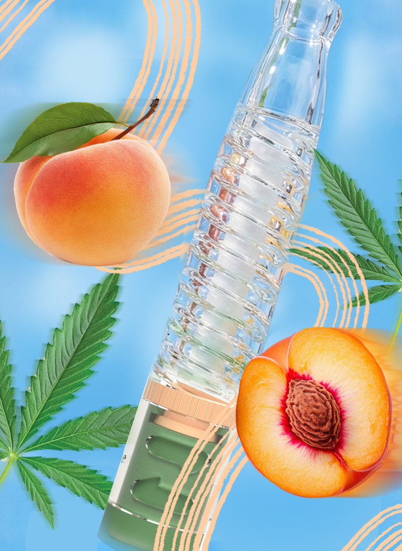 Peach Haze